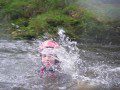 Splash