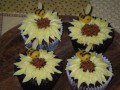 Sunflower Cupcakes