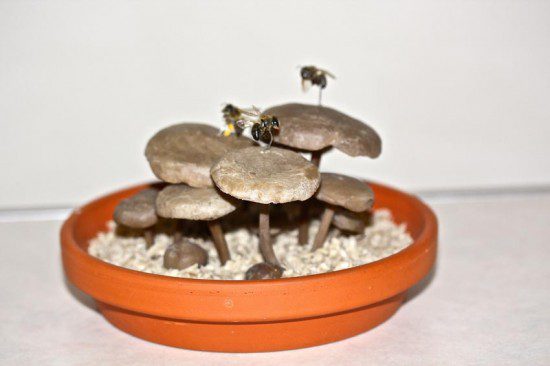Ornamental Display from Wax