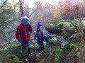 Exploring in the Woods