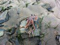 Fishing Bait