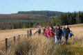 Walking in Wales