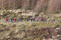 Welsh Walkers