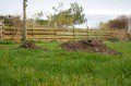 Mole Hills