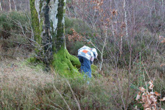 Searching for a Geocache