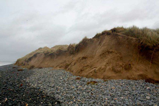 Dune Erosion at Ynyslas
