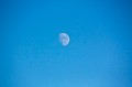 Midday Moon