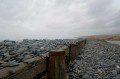 Shingle