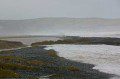 Ynyslas