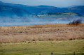 Bog in Flames