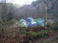 Camp Site
