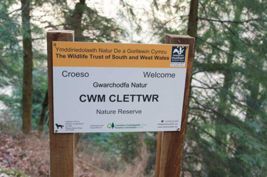 Cwm Clettwr