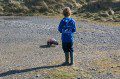 Playing with Car