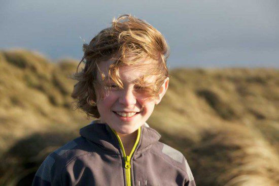 Windswept Morgan