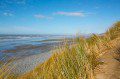 Ynyslas Beach
