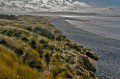 Ynyslas Beach