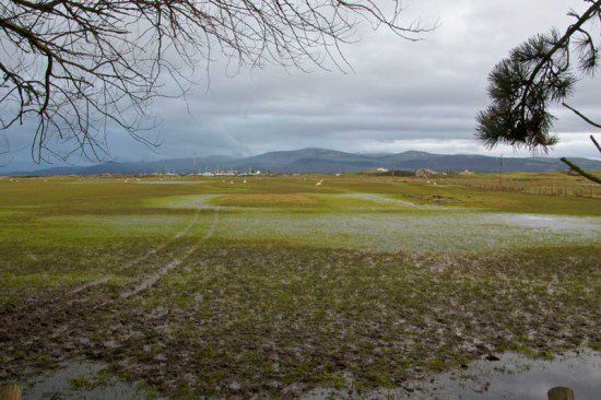 Waterlogged Fields