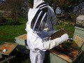 Beekeeping