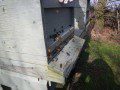 Busy Hives