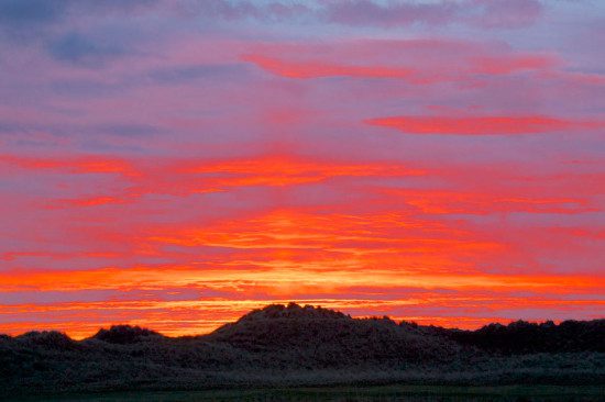 Fiery Sunet