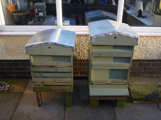 Hives