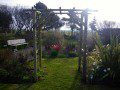 Pergola