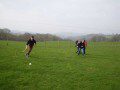 Rounders