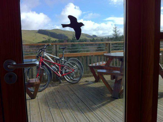 View from the Cafe