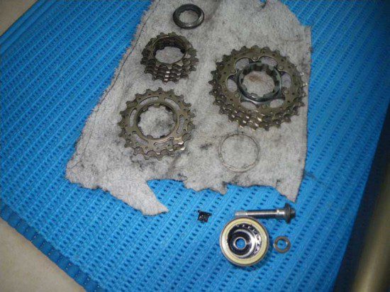 Freehub Disassembly