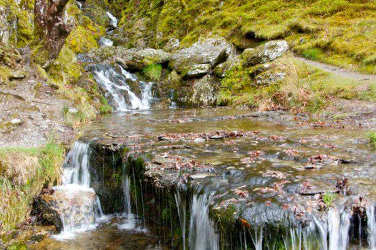 Stream