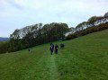 Across the field