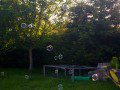 Bubbles
