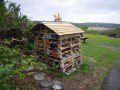 Bug Hotel