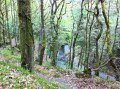 River Leri