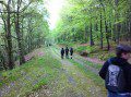 Through the Woods