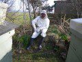 Beekeeping