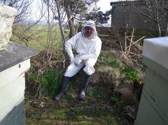 Beekeeping