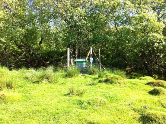New Apiary