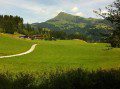 Alpine Scenery