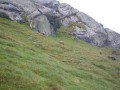 Ibex