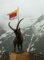 Ibex Statue