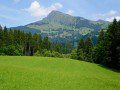 Kitzbuheler Horn
