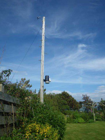 Pole