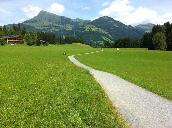Part of the Run Course