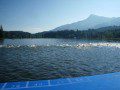 Swim Start