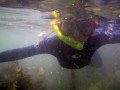 Snorkelling