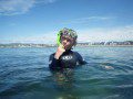 Snorkelling in Borth