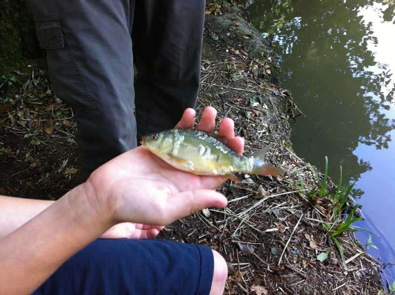 A Holiday with Family - Fishing, Balloon Glow and The Big Pit - A Simple  Life of Luxury