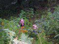 Bush Whacking