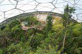 Canopy Tour